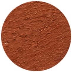 Deep Seek $34.00 CAD