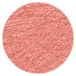 Nude Protocol $34.00 CAD